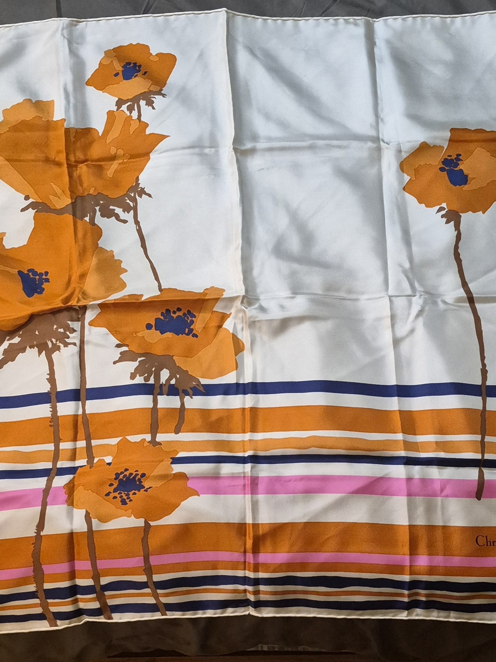 Christian Dior Print Silk Scarf with Striped Border